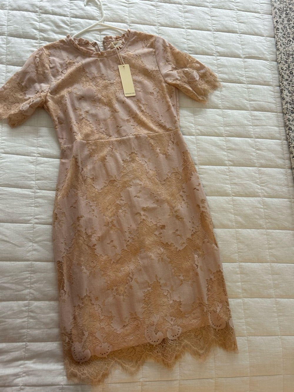 Roolee Lace Midi Dress in Blush